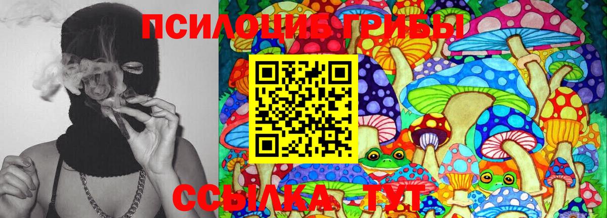 Галлюциногенные грибы MAGIC MUSHROOMS Кимовск