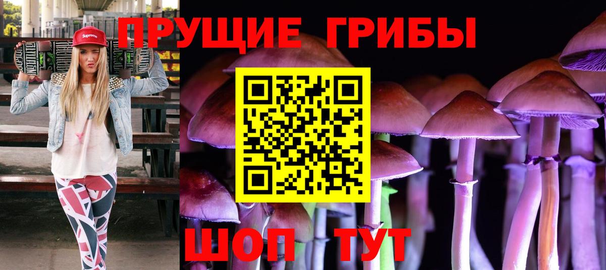 Псилоцибиновые грибы Magic Shrooms  Вход с VPN  Псилоцибиновые грибы GOLDEN TEACHER  купить   Кимовск 
